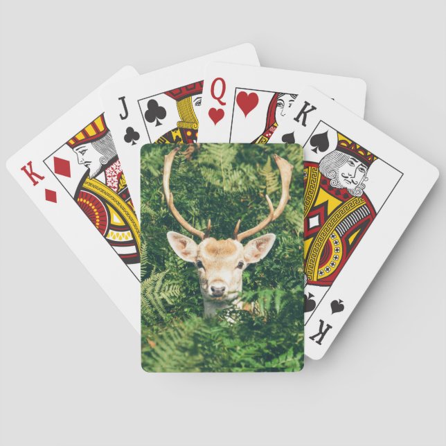 Jeu De Cartes Peek a Deer  (dos)