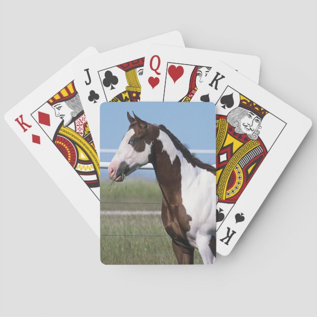 Jeu De Cartes Peignez la position de cheval (dos)