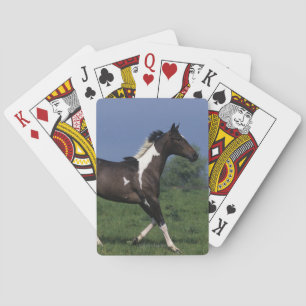 Jeu De Cartes Peignez le cheval courant 2