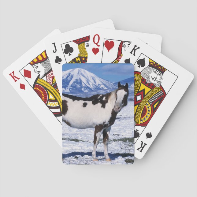 Jeu De Cartes Peignez le cheval se tenant dans la neige (dos)