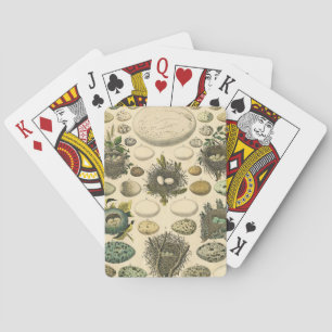 Jeu De Cartes Peinture artistique de nid d'oeuf d'oiseau vintage