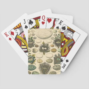 Jeu De Cartes Peinture artistique de nid d'oeuf d'oiseau vintage