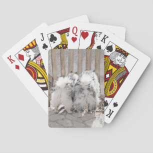 Jeu De Cartes Peinture de Keeshonds à la porte - Art original de