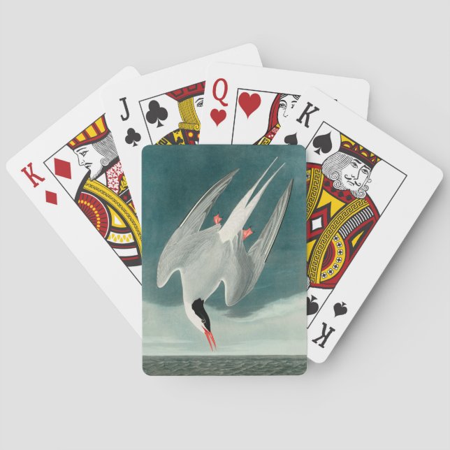 Jeu De Cartes Peinture de la faune de la sterne de l'Arctique Au (dos)