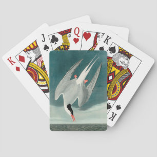 Jeu De Cartes Peinture de la faune de la sterne de l'Arctique Au