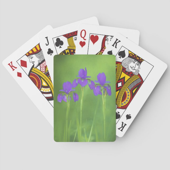 Jeu De Cartes Peinture Iris Violet - Art Fleur Originale (dos)