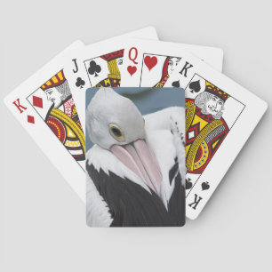 Jeu De Cartes Pélican australien en gros plan