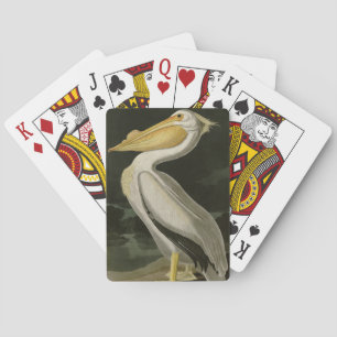 Jeu De Cartes Pélican blanc américain, les oiseaux d'Amérique d'