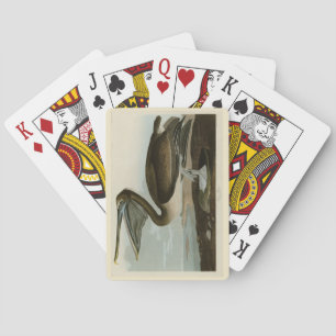 Jeu De Cartes Pélican Brown d'Audubon's Birds of America