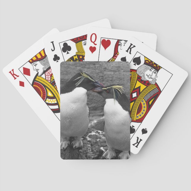 Jeu De Cartes Penguin Colour Splash (dos)