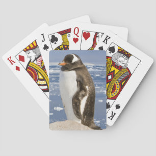 Jeu De Cartes Penguin Gentoo