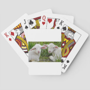 Jeu De Cartes Pensée animale de bébé jumeau d'agneau à vous
