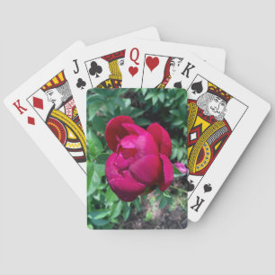 Jeu De Cartes Peony Jouer Des Cartes