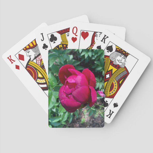 Jeu De Cartes Peony Jouer Des Cartes (dos)