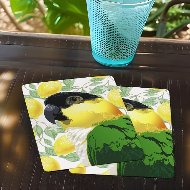 Jeu De Cartes Perroquet caïque à tête noire Douce Oiseau vert ja (Créateur téléchargé)