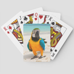 Jeu De Cartes Perroquet coloré sur le sable blanc
