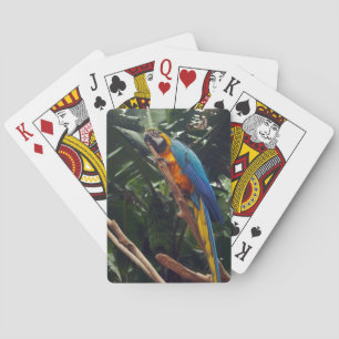 Jeu De Cartes Perroquet d'ara
