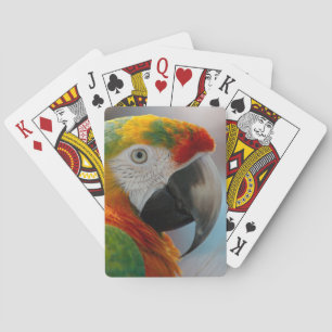 Jeu De Cartes Perroquet de Macaw Tropical