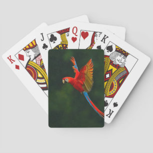 Jeu De Cartes Perroquet en vol