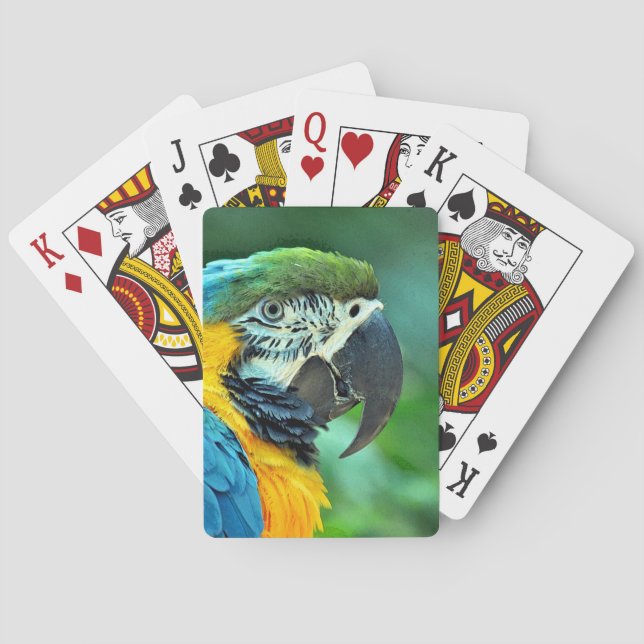 Jeu De Cartes Perroquet macaou coloré (dos)