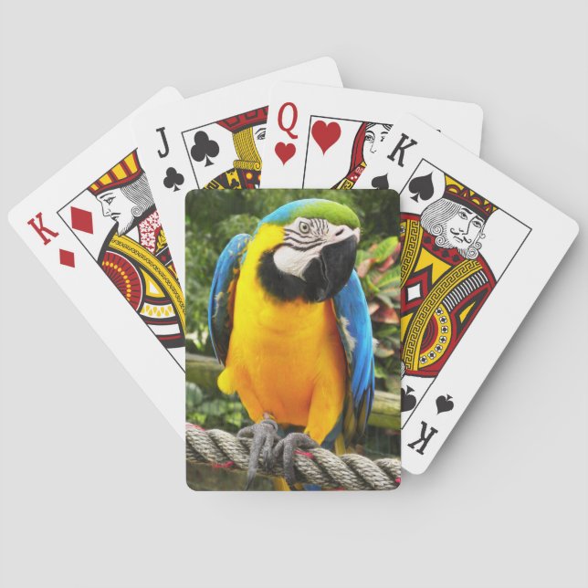 Jeu De Cartes Perroquet Macaw Exotique Jouer aux cartes (dos)