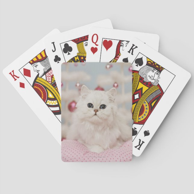 Jeu De Cartes Persian cat sitting on pink pillow (dos)