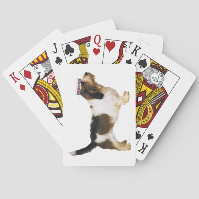 Jeu De Cartes Petit Basset Griffon Vendéen Dapper (dos)