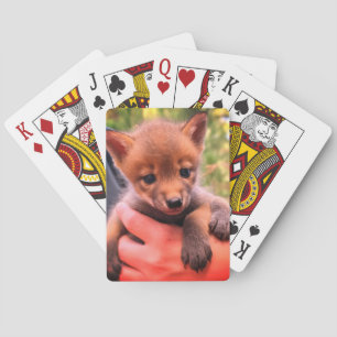 Jeu De Cartes Petit Coyote