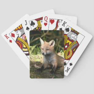 Jeu De Cartes Petit Cub