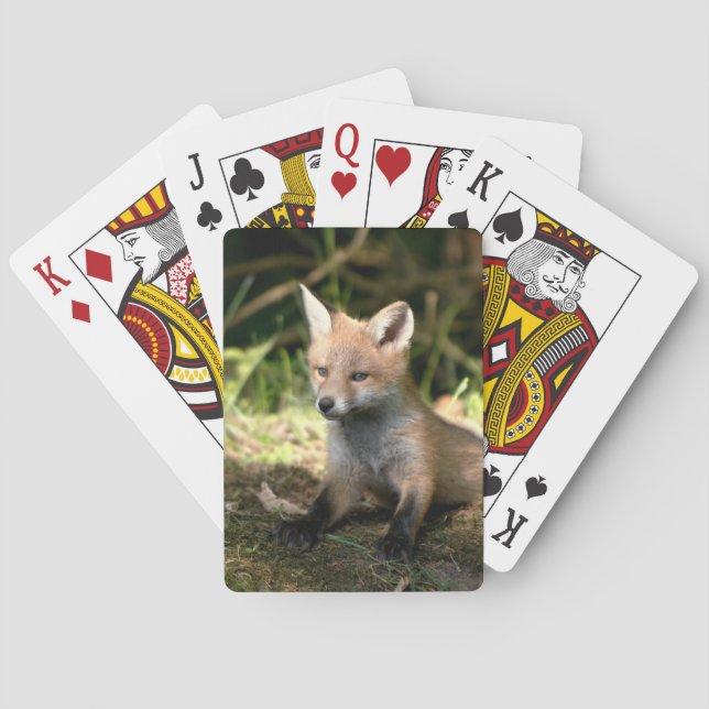 Jeu De Cartes Petit Cub (dos)