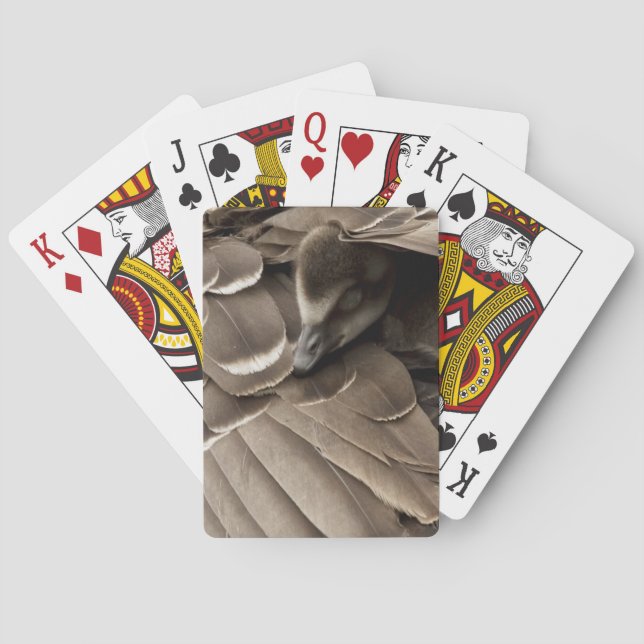Jeu De Cartes Petit Gosling sous l'aile de maman (dos)