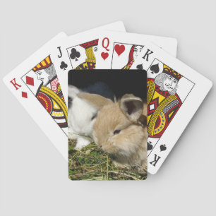 Jeu De Cartes Petit lapin moelleux