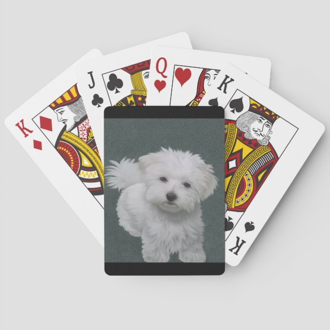 Jeu De Cartes Petit portrait de chien blanc (dos)