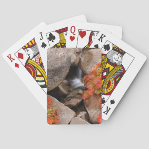 Jeu De Cartes Petit ruisseau en automne, Californie