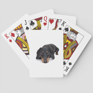 Jeu De Cartes Petit teckel