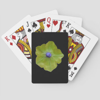 Jeu De Cartes Pétunia Green et Blue Playing Cartes