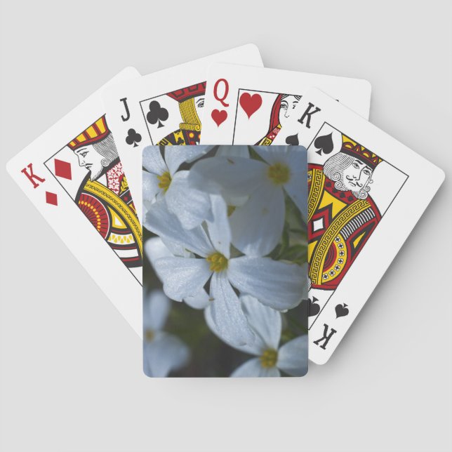 Jeu De Cartes Phlox (dos)