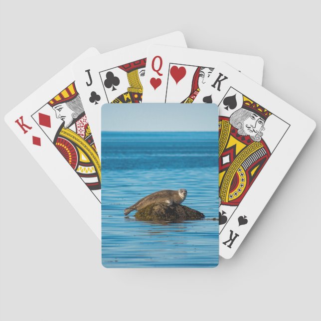 Jeu De Cartes Phoque commun de l'Atlantique  (dos)