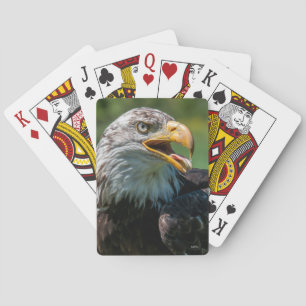 Jeu De Cartes photo d'aigle