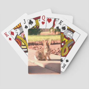 Jeu De Cartes photo de lapin de Pâques printemps