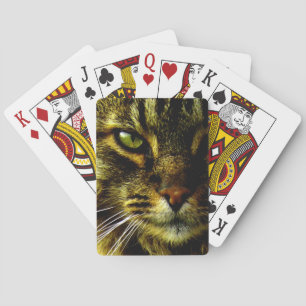 Jeu De Cartes Photo d'oeil de chat hypnotisant animal