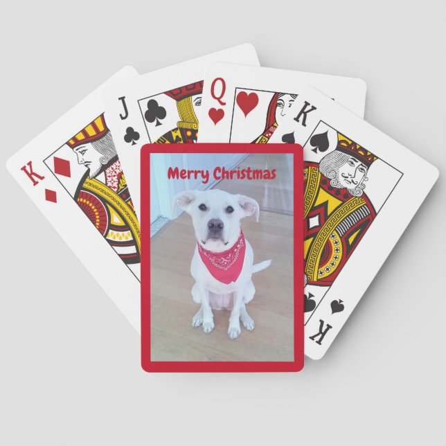 Jeu De Cartes Photo d'un chien mignon avec un bâton amusant hors (dos)