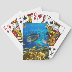 Jeu De Cartes Photo d'un poisson tropical sur un récif coralien