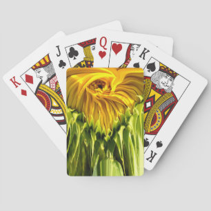 Jeu De Cartes Photo élégante de tournesol jaune