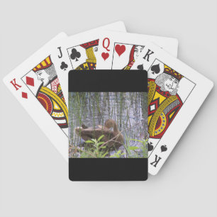 Jeu De Cartes Photo en gros plan d'un canard