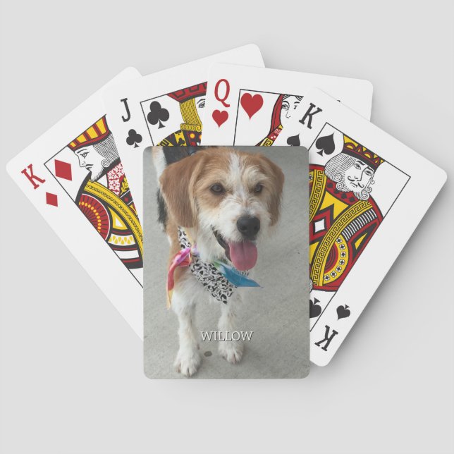 Jeu De Cartes Photo et nom de l'animal (dos)