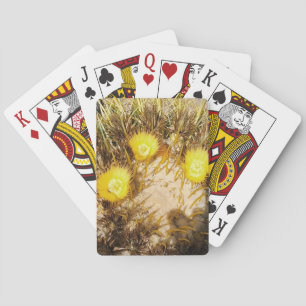 Jeu De Cartes Photo Fleur de Cactus