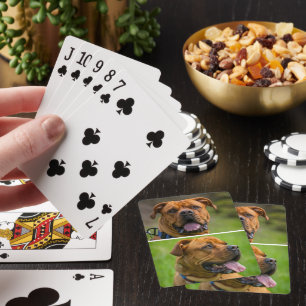 Jeu De Cartes Photo personnalisée de deux animaux de compagnie