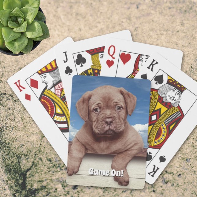 Jeu De Cartes Photographie de chiot brun adorable (Cute brown puppy photograph playing cards. )