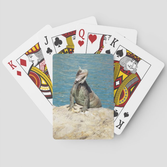Jeu De Cartes Photographie de la faune tropicale Iguana à St. Th (dos)